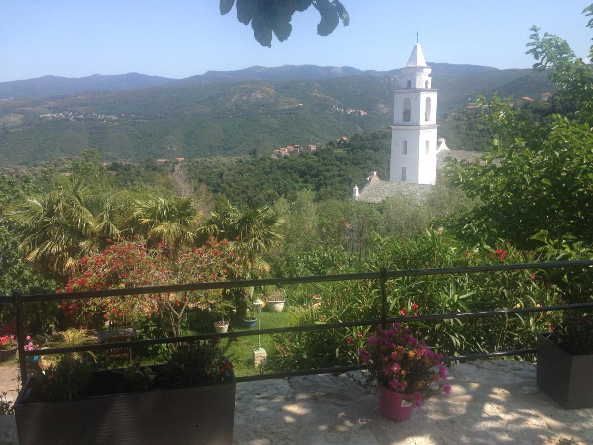 Santo-Pietro-di-Tenda Casa Di Emma B&B 외부 사진