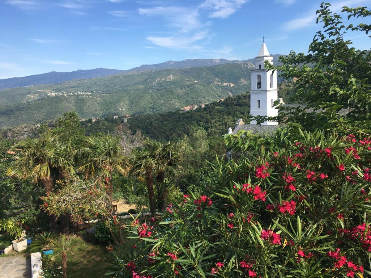 Santo-Pietro-di-Tenda Casa Di Emma B&B 외부 사진