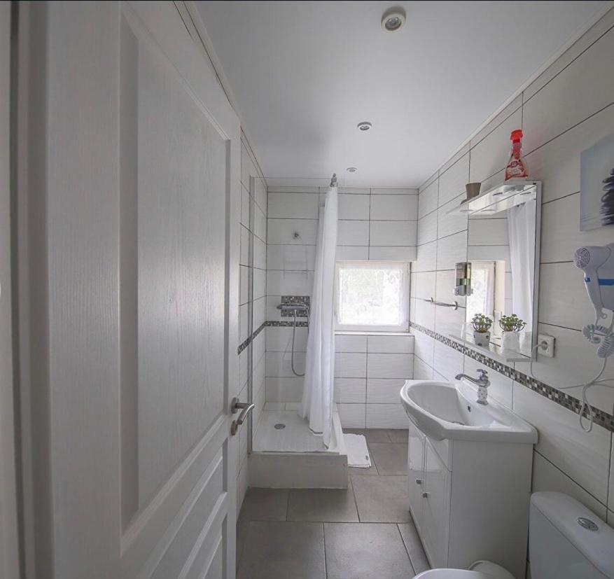 Santo-Pietro-di-Tenda Casa Di Emma B&B 외부 사진